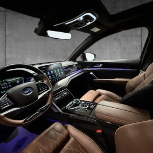 BYD Tang - Bilde 10