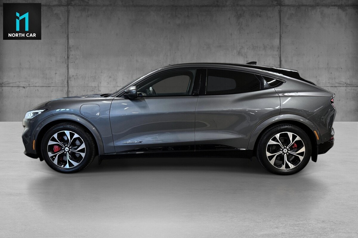 Ford Mustang Mach-E - Bilde 8